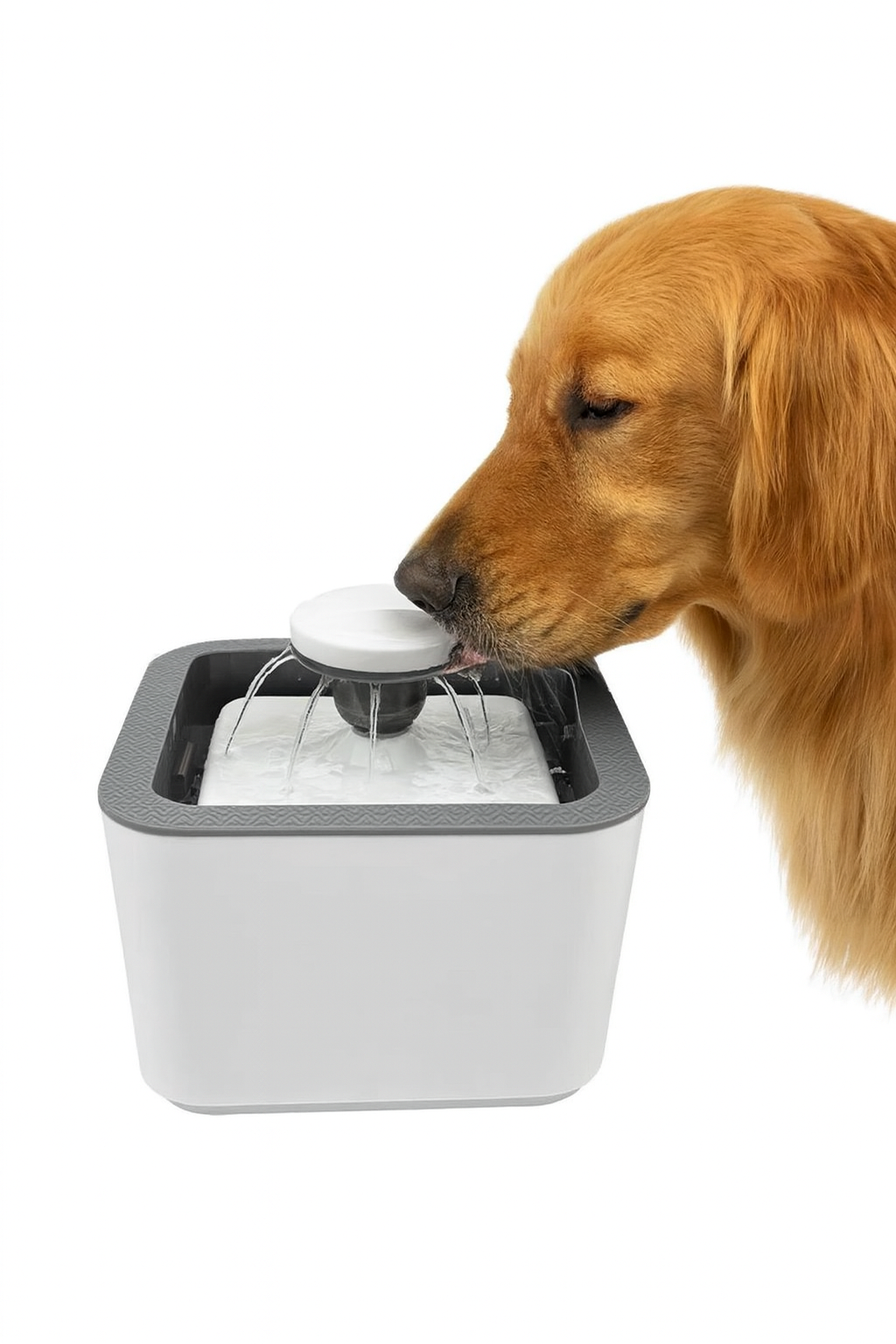 Bebedero Antiderrame 2.5L